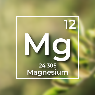 Magnezyum (Mg)