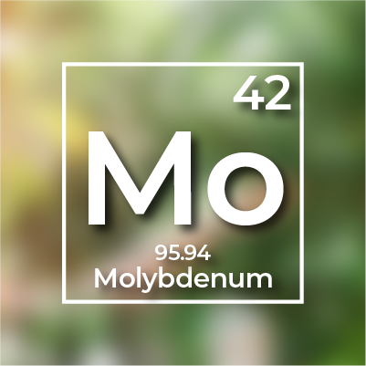 Molibden (Mo)