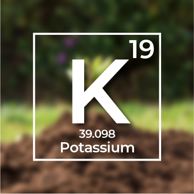 Potasyum (K)